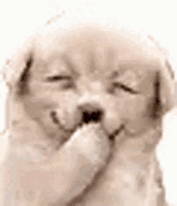 excited-laugh