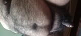 1751137495313025
