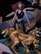 371322-96852-cheetah