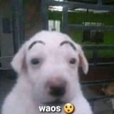 1729012755312