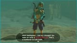 Link-wearing-female-Gerudo-clothing-in-a-screenshot-from-Breath-of-the-Wild-Nintendo