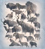 The lost titans of Pleistocene north America, by Velisar Simeonovski