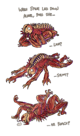 Spines
