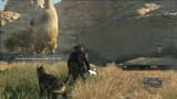 bear rescue