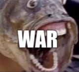 war