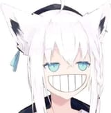 1736851494257035