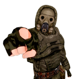 pointing stalker