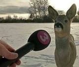 deer~2