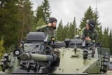 Finnish Cavalry