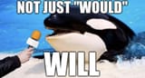 1744183306349772m