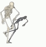 skellie