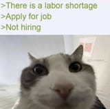 20250629_164718