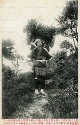 1860E21D-8E4A-44CF-AA0D-5EA59518B684