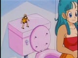 roshi toilet