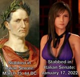 stabbed in italian senate