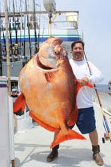 Manlytears and his goldfish