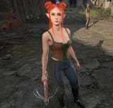 wood elf rogue