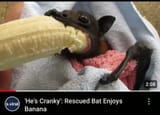He&#039;s Cranky!