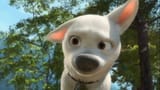 bolt