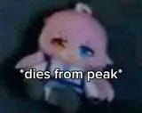 Hoshino dies from peak