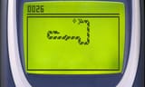 snake