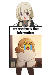 1731699380555