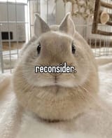 Reconsider