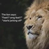1747109459399062