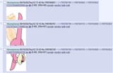 classic 4chan