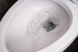 flushing-toilet