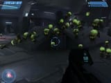 300px-HaloCE_Flood_Infection_Form