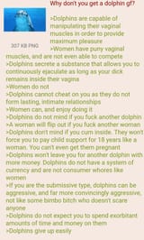dolphin vs human