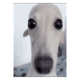 1708548803135974