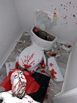 scholardead