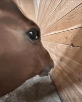 1728434191376