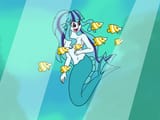 sonata