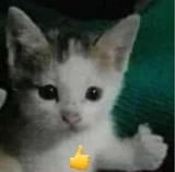 1643165719737