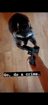 go-do-a-crime-go-commit-arson