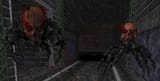 mechsect ion fury