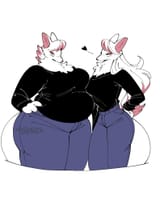 extremely soft and plump fox and her slimmer twin sister