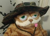 katto9
