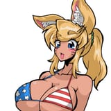 Liru American flag bikini