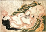the dream of the fisherman&#039;s wife