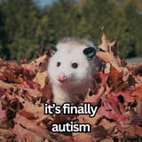 1733617560439976