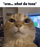 1749245015403675