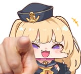43216453