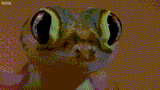 75bef0224ae6a14fd36b1b9b001b5fa4