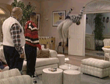 BITCH!