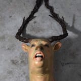 20221202_221659