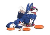 dogs
